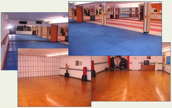 Japanese themed and matted area dojo and training facility of Mississauga Shotokan Karate Club. 